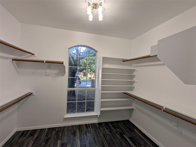 spacious closet featuring wood finished floors