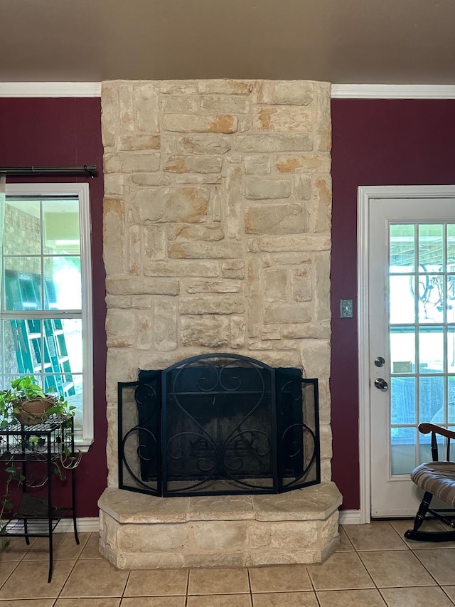 interior details featuring ornamental molding, baseboards, and a fireplace