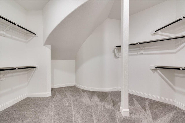 6926 Prairieside Trl, Prairie Ridge, TX 76084 - walk in closet with carpet floors and lofted ceiling