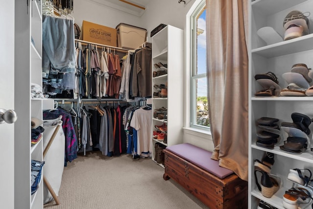 spacious closet featuring carpet flooring
