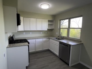kitchen featuring a sink, white cabinetry, wood finished floors, and dishwashing machine
