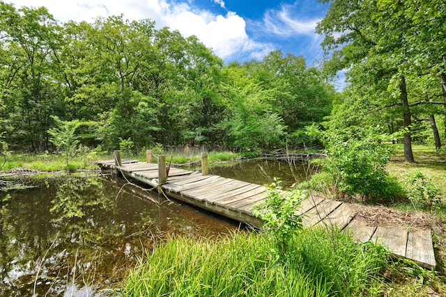 view of dock with a view of trees