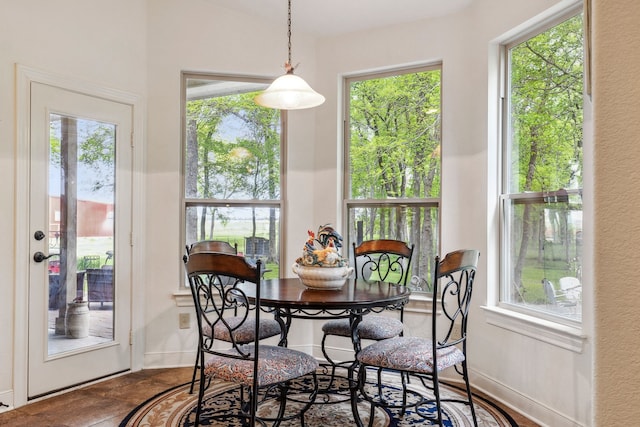 dining room with baseboards and a wealth of natural light