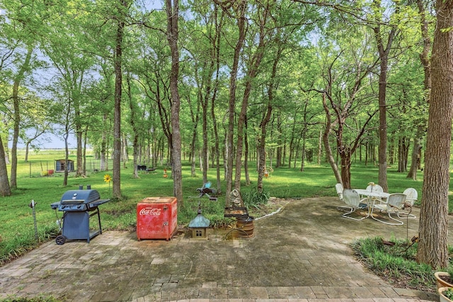 view of yard with a patio area