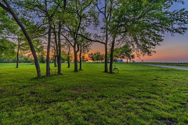 view of property's community with a lawn