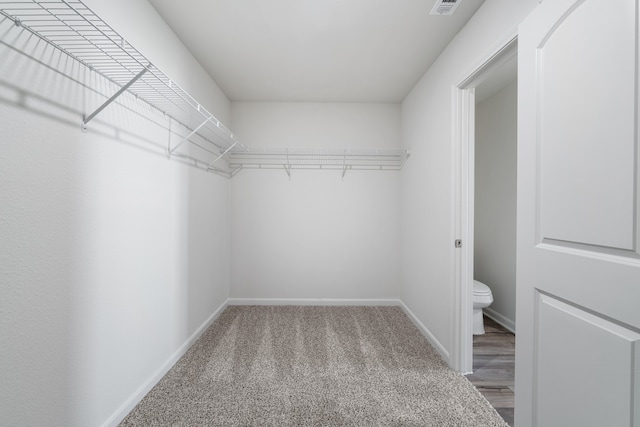 walk in closet with carpet floors