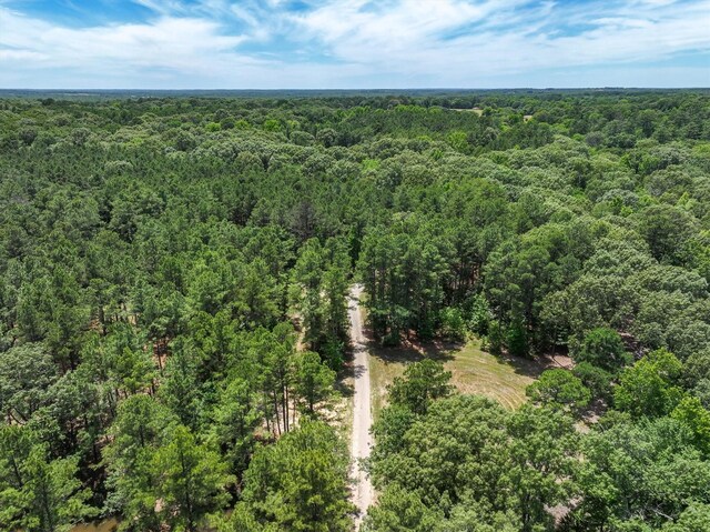 TBD Private Rd 8079 Rd, Ben Wheeler, TX 75754