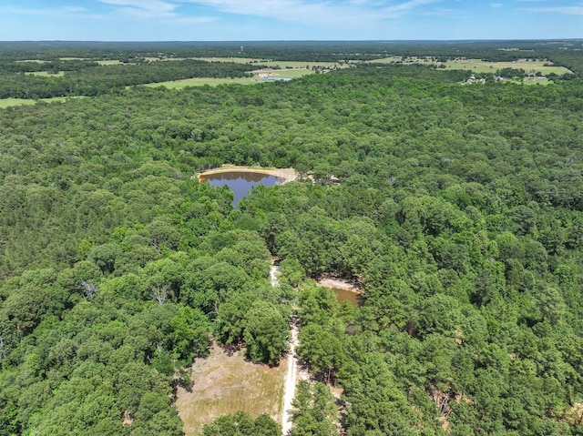 TBD Private Rd 8079 Rd, Ben Wheeler, TX 75754