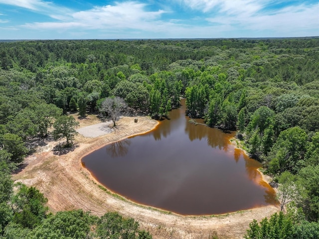 TBD Private Rd 8079 Rd, Ben Wheeler, TX 75754