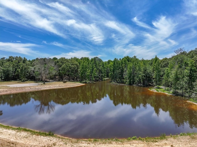 TBD Private Rd 8079 Rd, Ben Wheeler, TX 75754