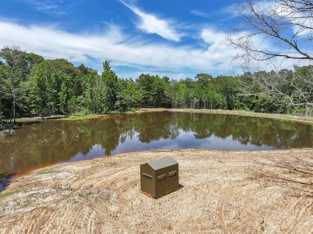 TBD Private Rd 8079 Rd, Ben Wheeler, TX 75754