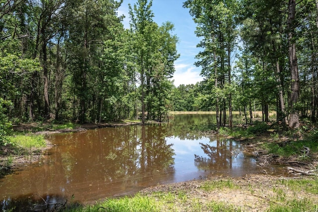 TBD Private Rd 8079 Rd, Ben Wheeler, TX 75754