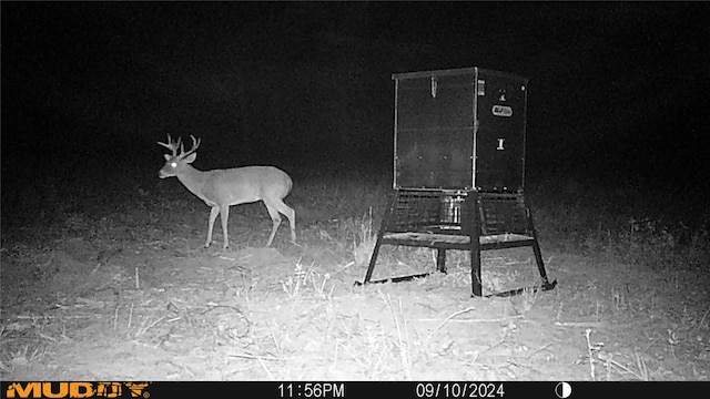 TBD Private Rd 8079 Rd, Ben Wheeler, TX 75754