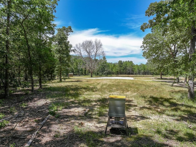 TBD Private Rd 8079 Rd, Ben Wheeler, TX 75754