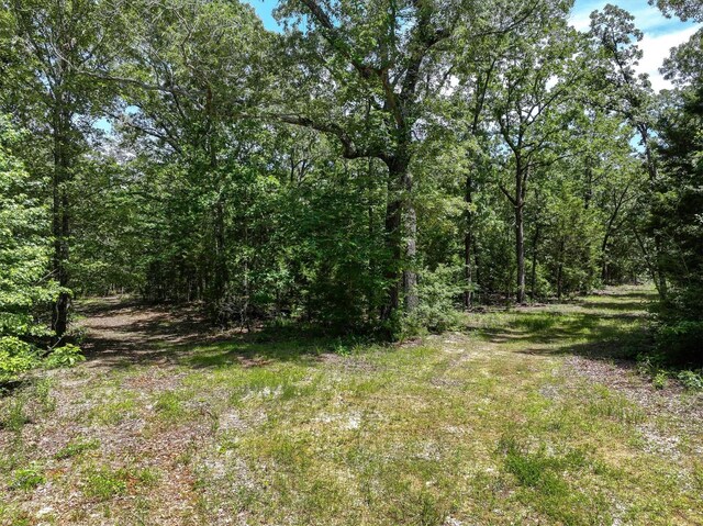 TBD Private Rd 8079 Rd, Ben Wheeler, TX 75754