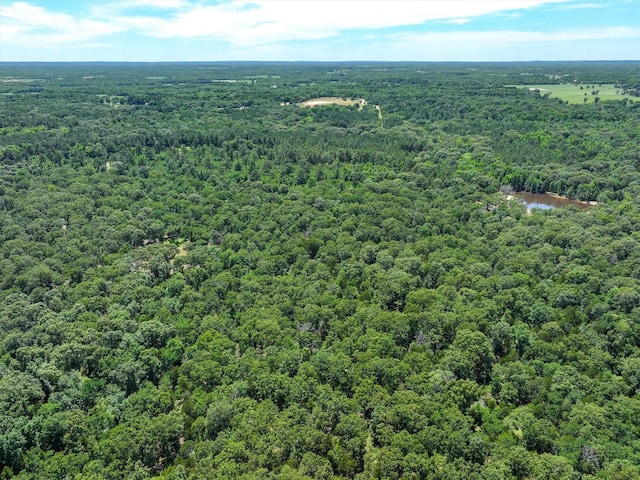 TBD Private Rd 8079 Rd, Ben Wheeler, TX 75754
