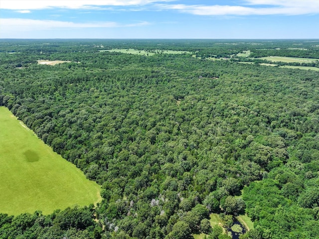 TBD Private Rd 8079 Rd, Ben Wheeler, TX 75754