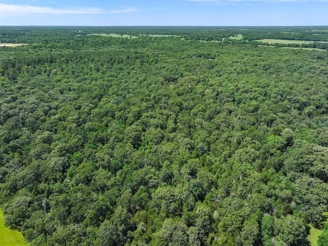 TBD Private Rd 8079 Rd, Ben Wheeler, TX 75754