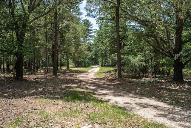 TBD Private Rd 8079 Rd, Ben Wheeler, TX 75754