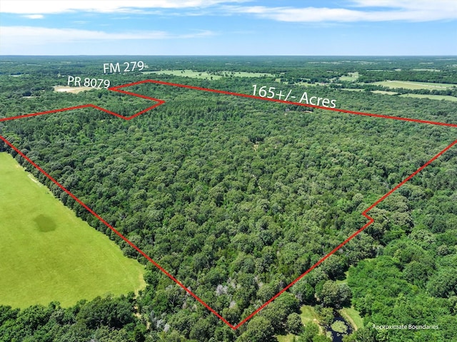 TBD Private Rd 8079 Rd, Ben Wheeler, TX 75754