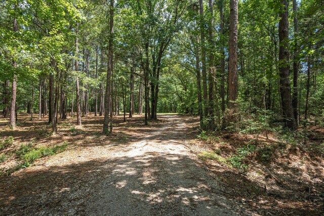 TBD Private Rd 8079 Rd, Ben Wheeler, TX 75754