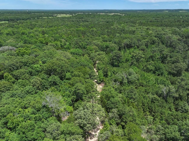 TBD Private Rd 8079 Rd, Ben Wheeler, TX 75754
