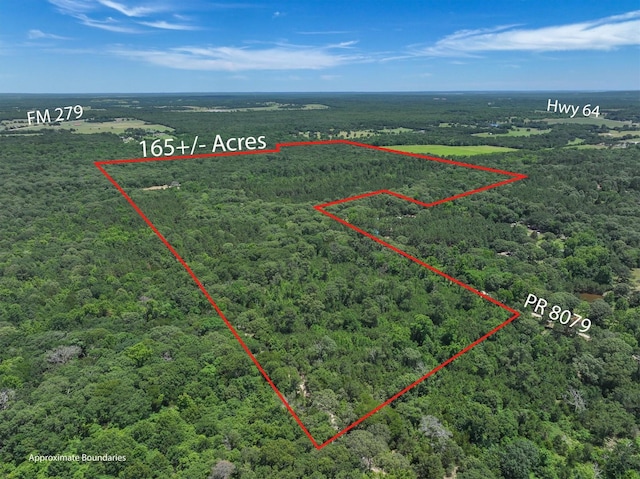 TBD Private Rd 8079 Rd, Ben Wheeler, TX 75754