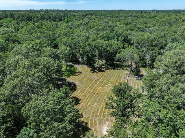 TBD Private Rd 8079 Rd, Ben Wheeler, TX 75754