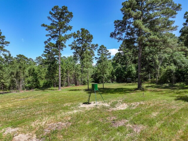 TBD Private Rd 8079 Rd, Ben Wheeler, TX 75754