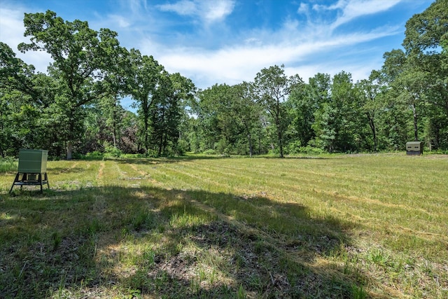 TBD Private Rd 8079 Rd, Ben Wheeler, TX 75754