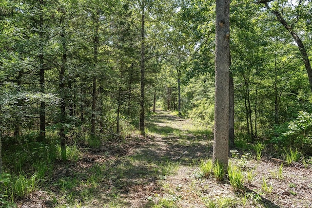 TBD Private Rd 8079 Rd, Ben Wheeler, TX 75754