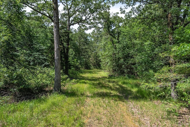 TBD Private Rd 8079 Rd, Ben Wheeler, TX 75754