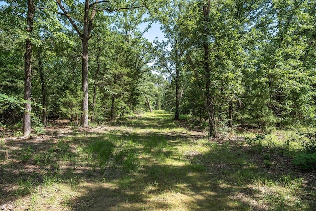 TBD Private Rd 8079 Rd, Ben Wheeler, TX 75754