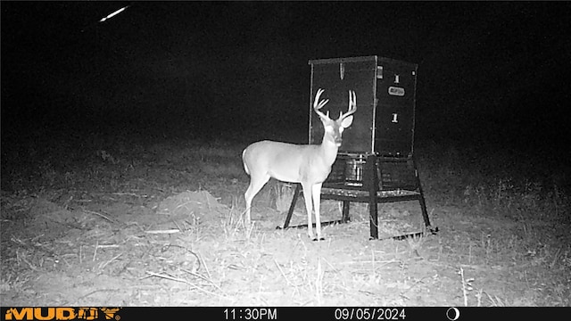 TBD Private Rd 8079 Rd, Ben Wheeler, TX 75754