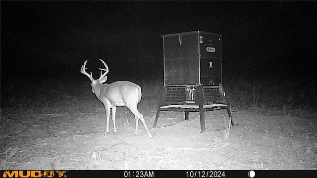 TBD Private Rd 8079 Rd, Ben Wheeler, TX 75754