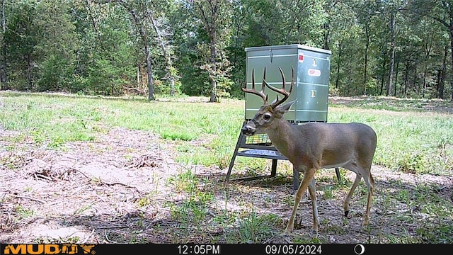 TBD Private Rd 8079 Rd, Ben Wheeler, TX 75754