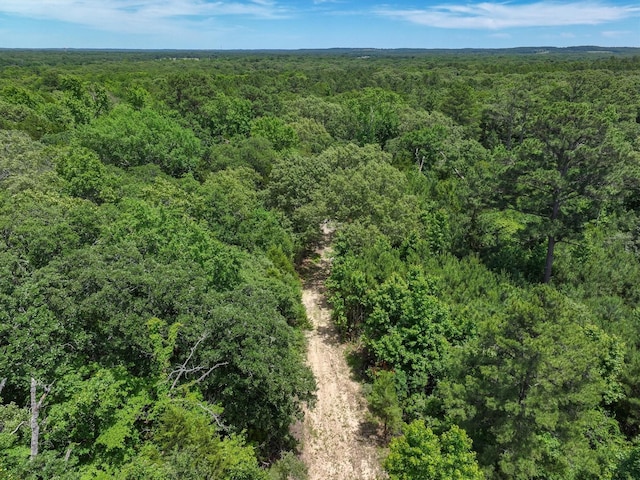 TBD Private Rd 8079 Rd, Ben Wheeler, TX 75754