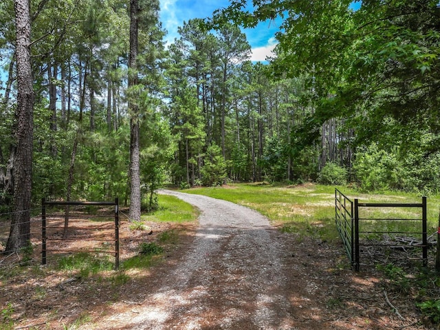 TBD Private Rd 8079 Rd, Ben Wheeler, TX 75754