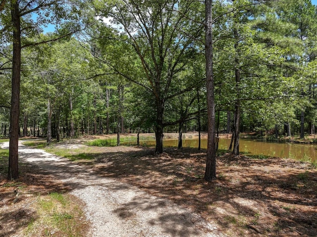 TBD Private Rd 8079 Rd, Ben Wheeler, TX 75754
