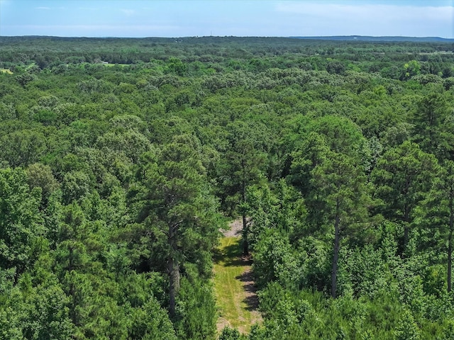 TBD Private Rd 8079 Rd, Ben Wheeler, TX 75754