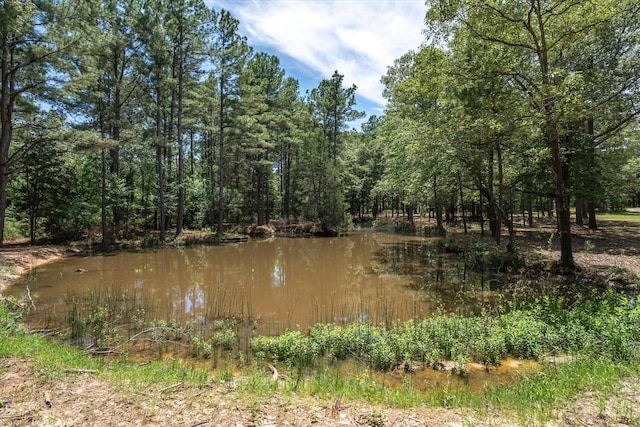 TBD Private Rd 8079 Rd, Ben Wheeler, TX 75754