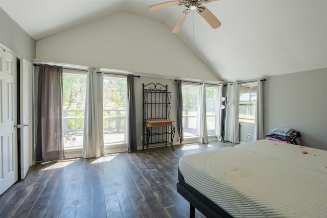 bedroom featuring dark wood-type flooring, access to exterior, a ceiling fan, and multiple windows