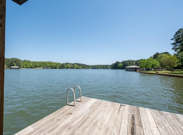 dock area featuring a water view