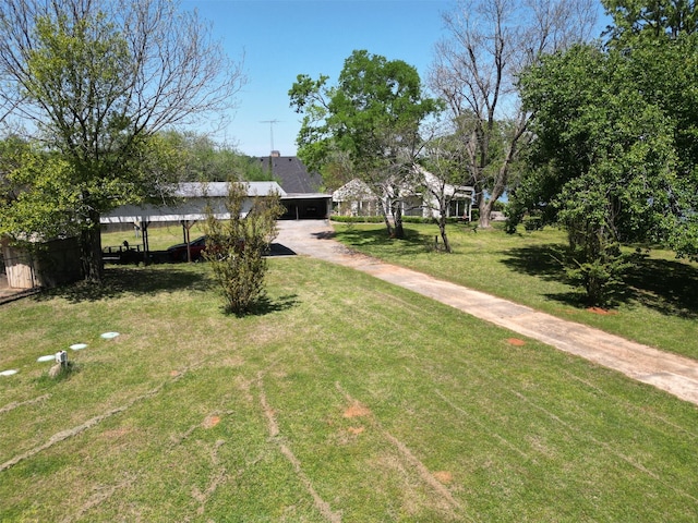 view of yard with a carport and driveway