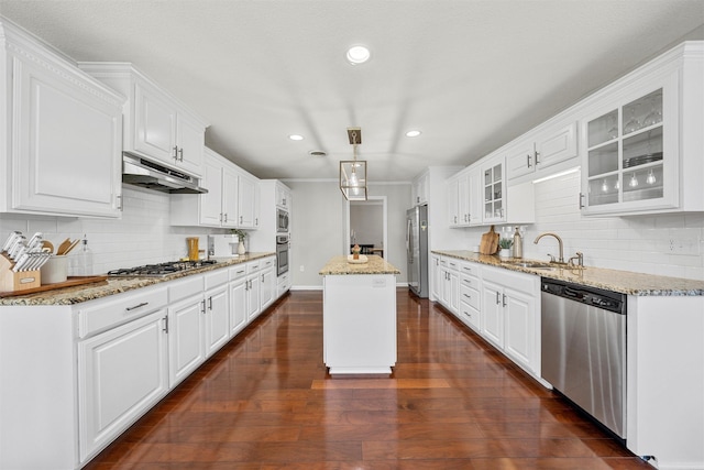 kitchen with tasteful backsplash, appliances with stainless steel finishes, a sink, and under cabinet range hood