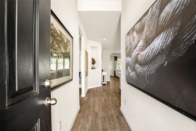 5045 Cervinae Rd, Fort Worth, TX 76036 - hallway with wood finished floors and baseboards