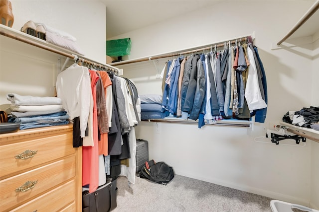 754 Brookline Dr, Lavon, TX 75166 - walk in closet with carpet