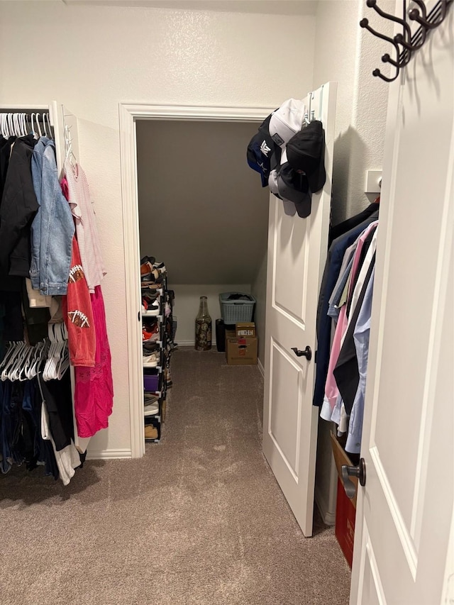 206 Lakewood Ln, Ponder, TX 76259 - spacious closet featuring carpet