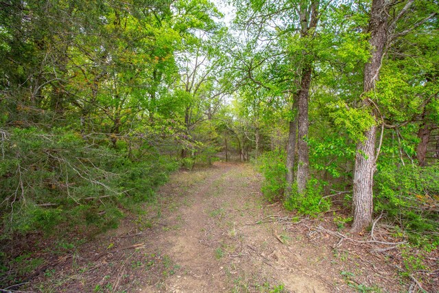 1679 Rosston, Forestburg, TX 76239