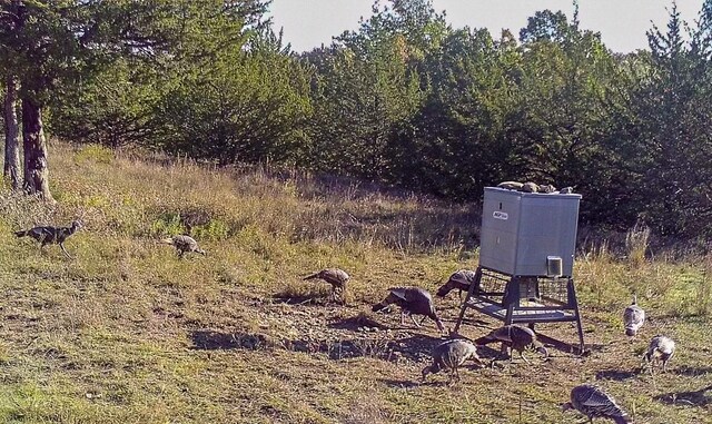 1679 Rosston, Forestburg, TX 76239